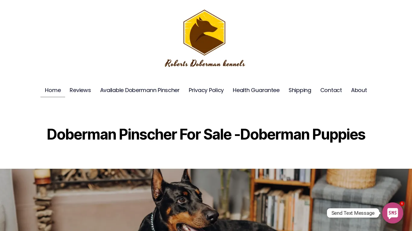 is robertsdobermankennels.com legit? screenshot