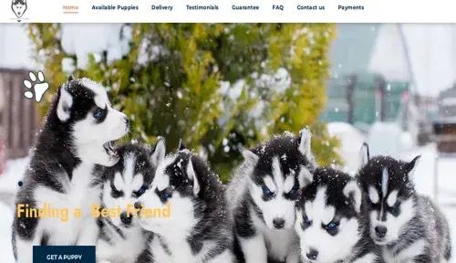 A screenshot of Genlanfamilystbernard.com