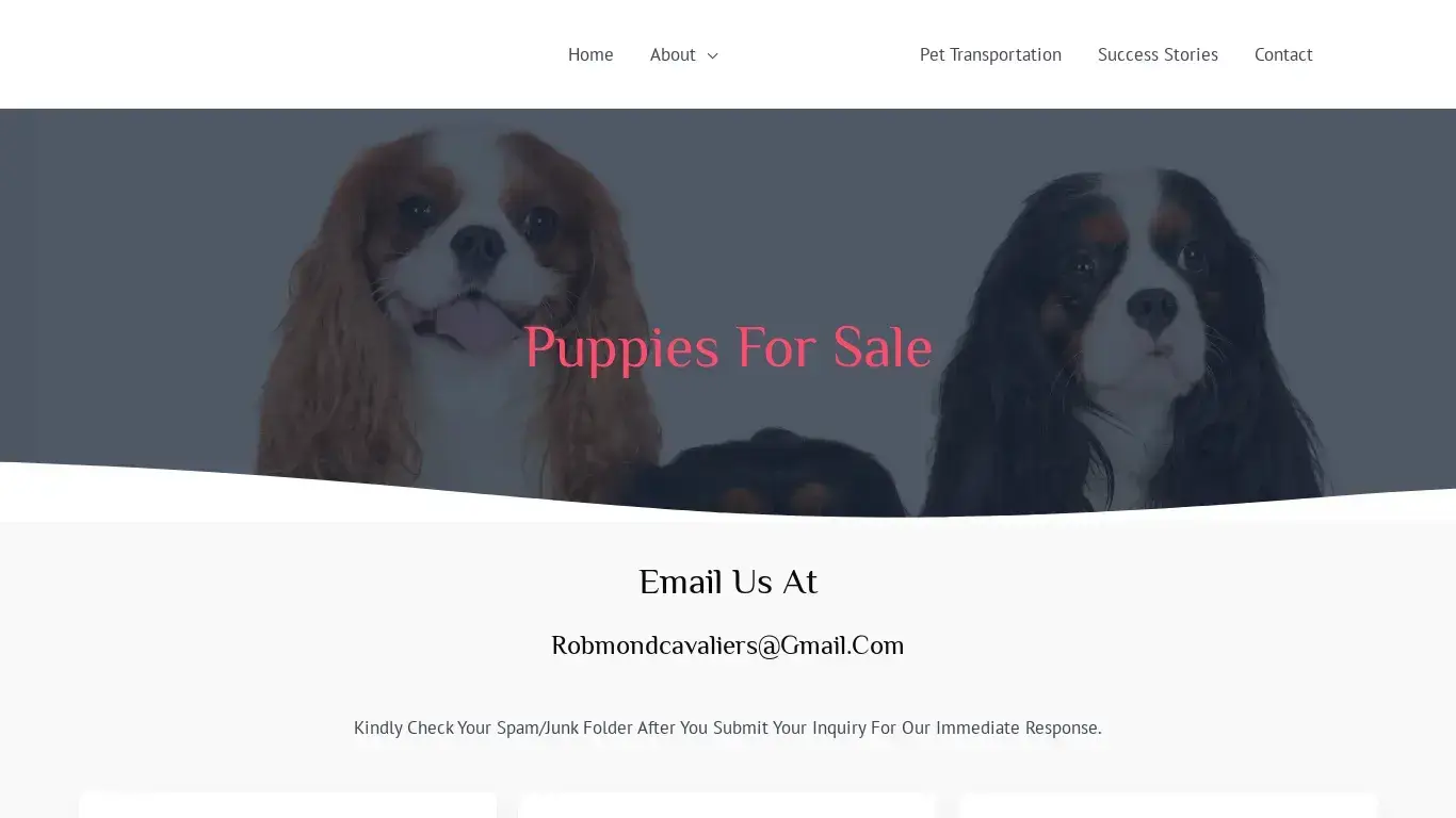 is Robmond Cavaliers – Cavalier King Charles Puppies For Sale legit? screenshot