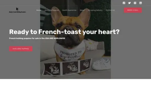 A screenshot of Rocketfrenchbulldogbreeders.com