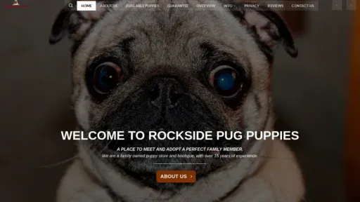 A screenshot of Rocksidepugpuppies.com