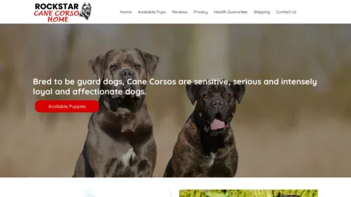 A screenshot of Rockstarcanecorsohome.com