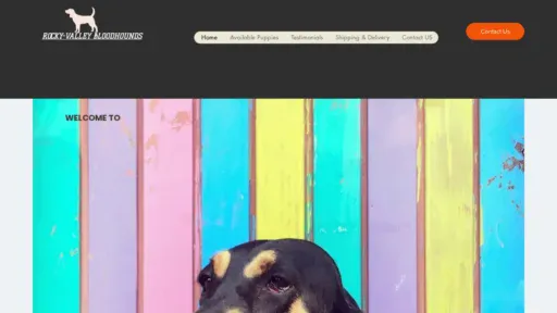 A screenshot of Rockyvalleybloodhounds.com