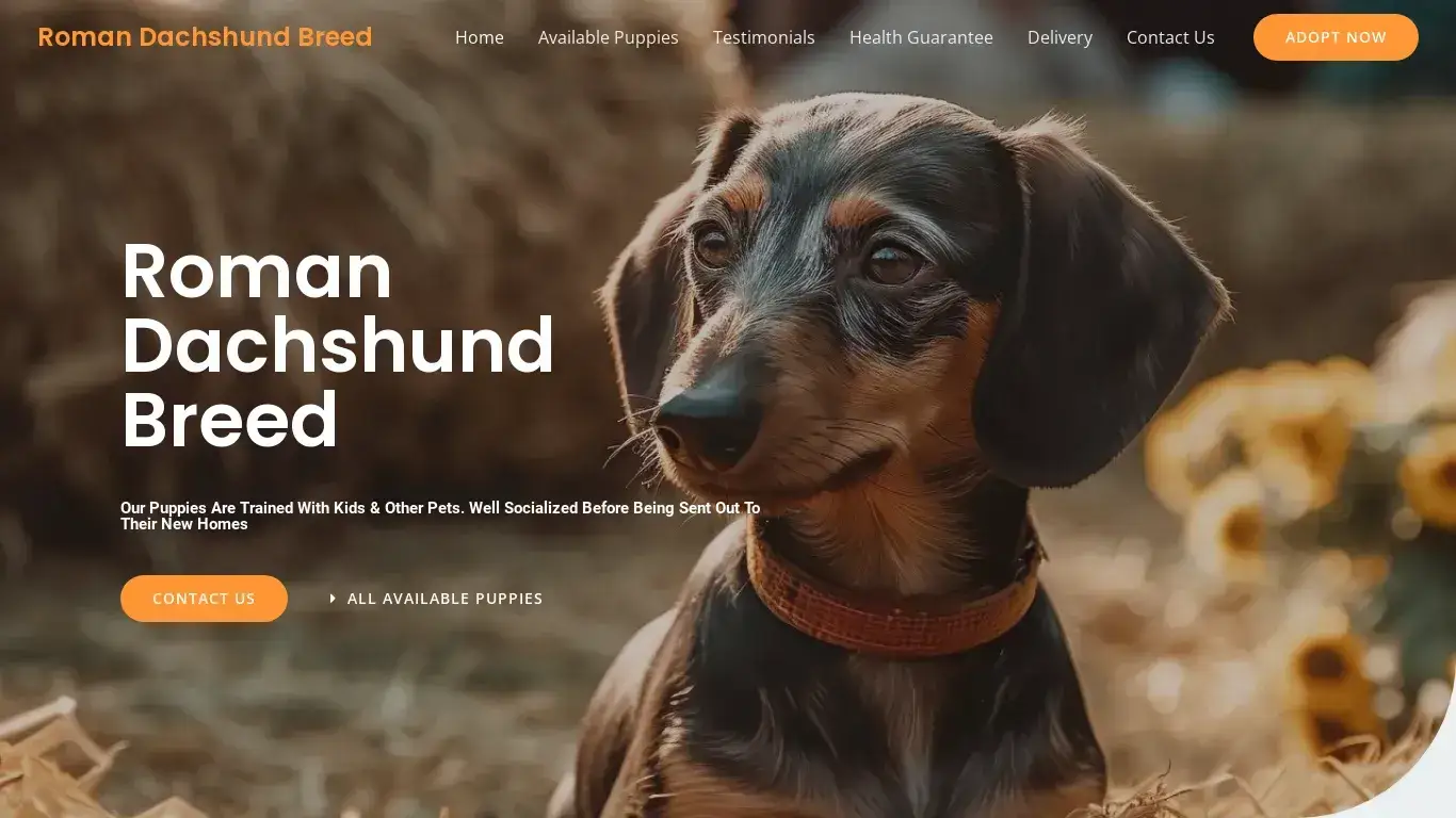 is Roman Dachshund Breed – Purebred Dachshund Puppies For Sale legit? screenshot