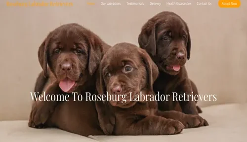 A screenshot of Genlanfamilystbernard.com