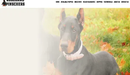 A screenshot of Genlanfamilystbernard.com