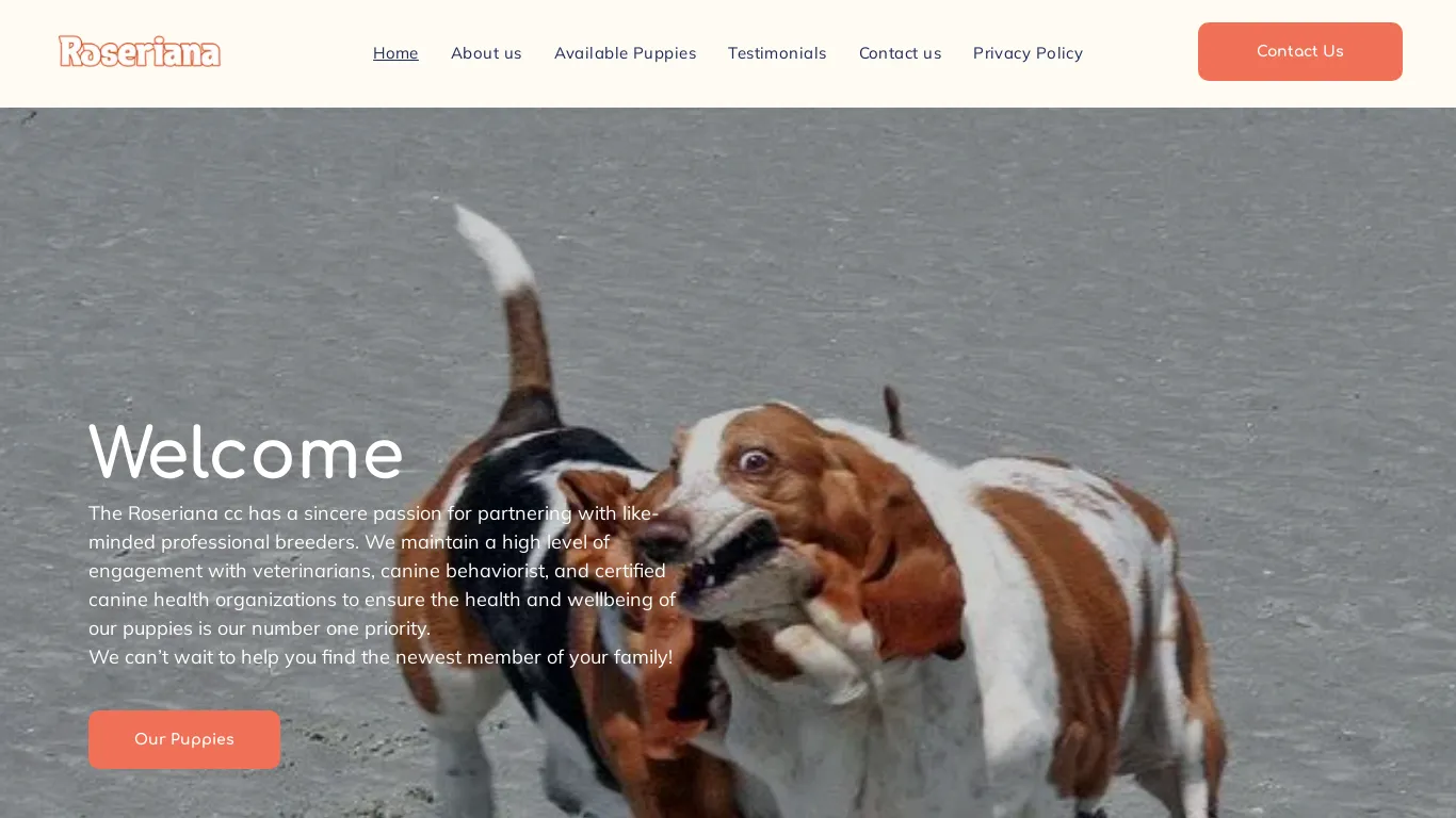 is Roseriana Basset hound legit? screenshot