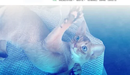 A screenshot of Genlanfamilystbernard.com