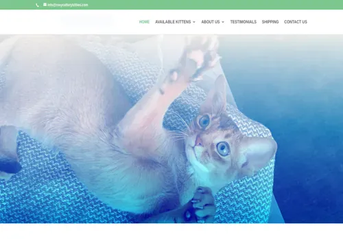 is rosycatterykitties.com legit? screenshot