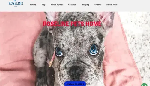 A screenshot of Genlanfamilystbernard.com