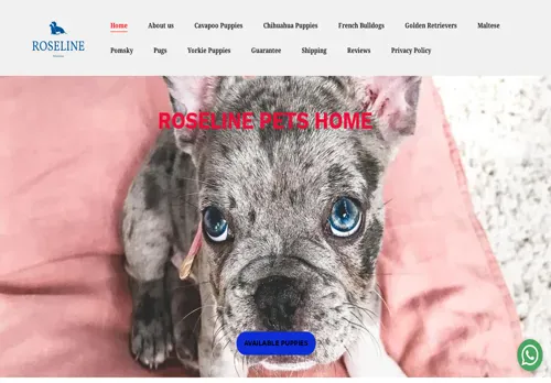 is rosypetshome.co.za legit? screenshot