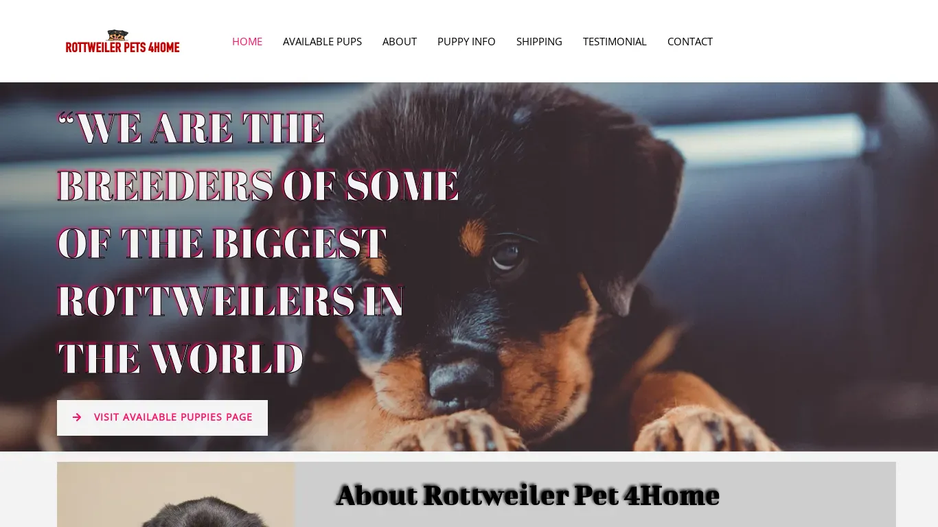 is Rottweiler Pets 4homes legit? screenshot