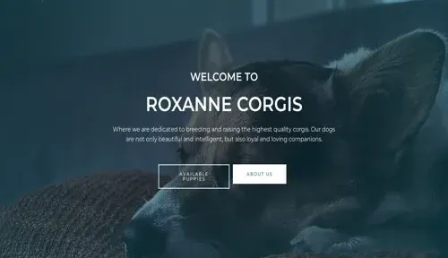 A screenshot of Genlanfamilystbernard.com