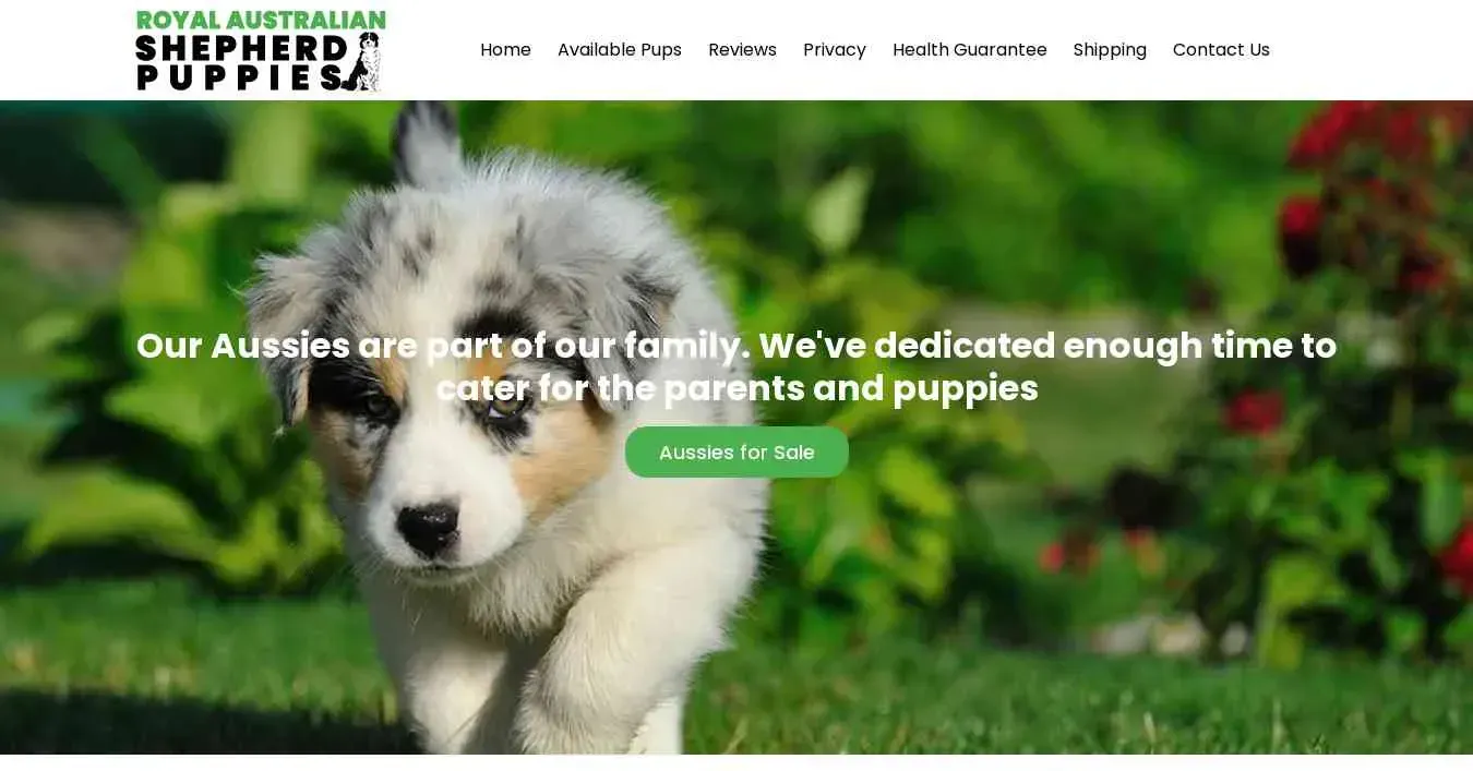 is royalaustralianshepherdpuppies.com legit? screenshot