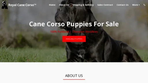A screenshot of Royalcanecorsoo.com