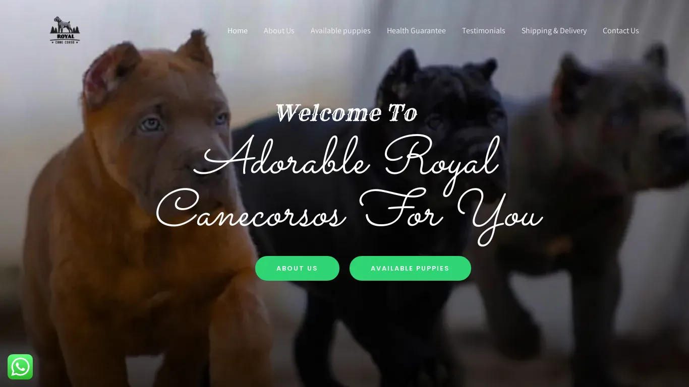is royalcanecorsos.com legit? screenshot
