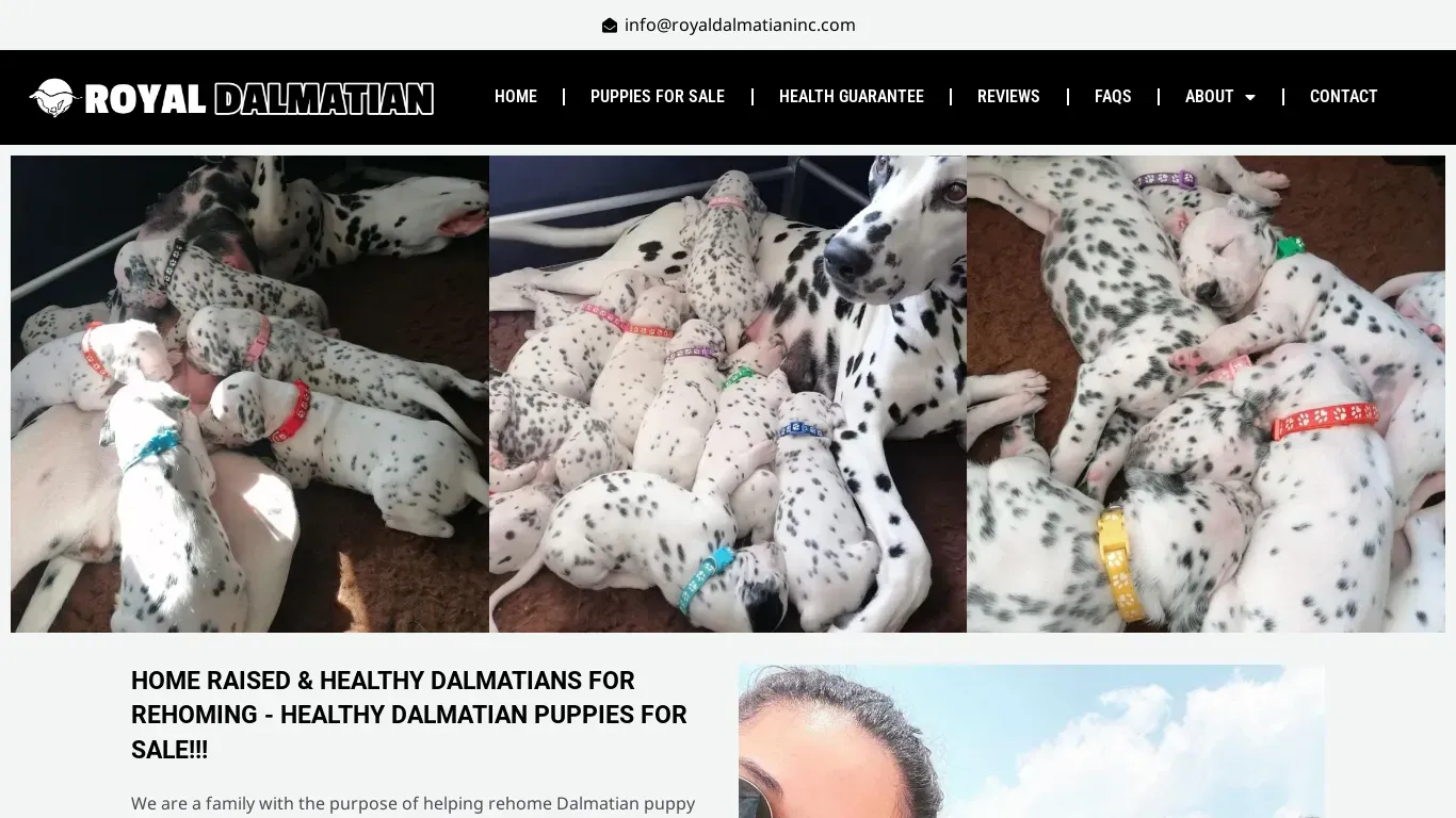 is Royal Dalmatian Inc – Dalmatian Puppies For Sale legit? screenshot