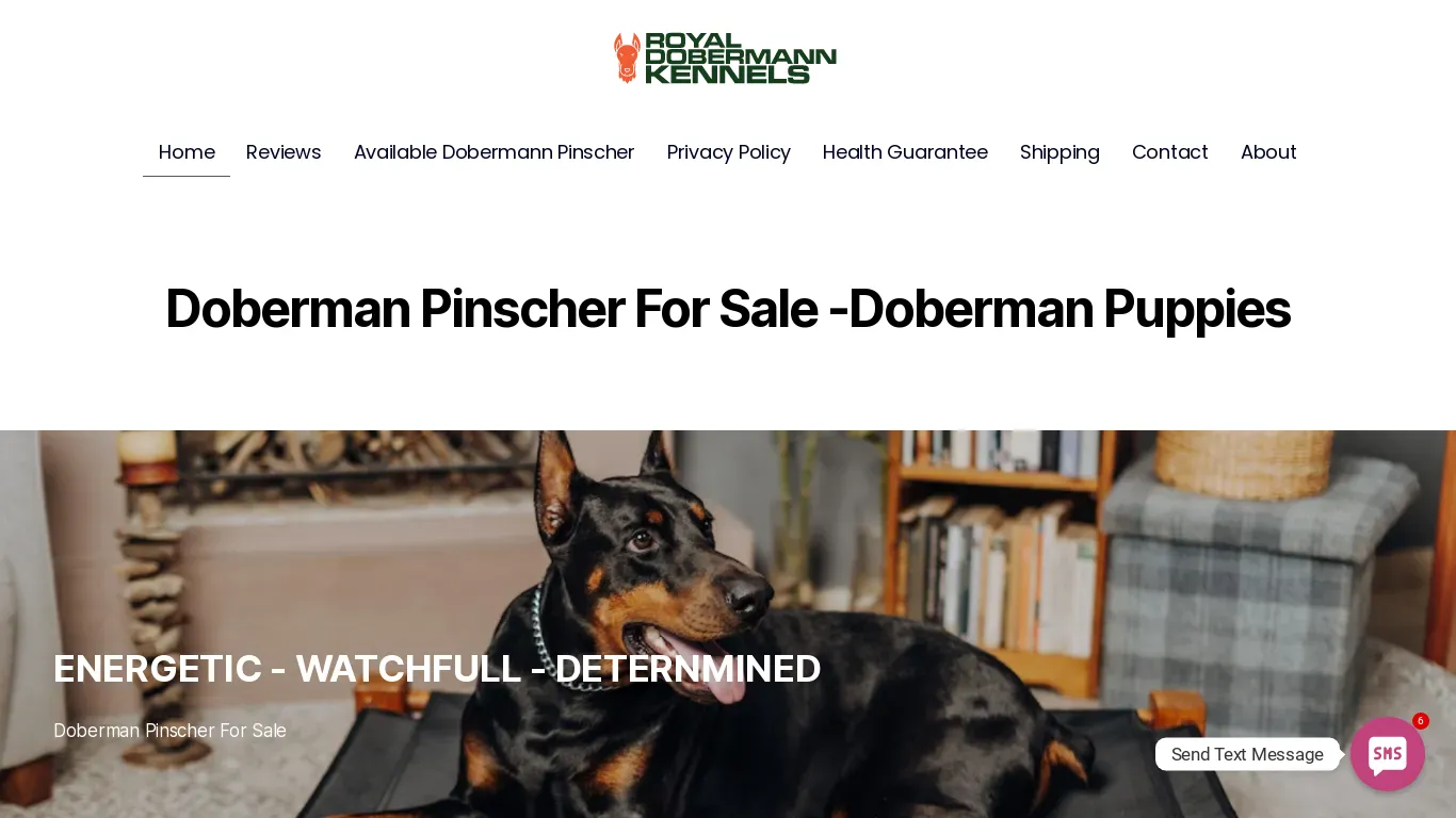 is royaldobermannkennelstn.com legit? screenshot