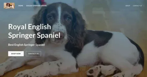 A screenshot of Genlanfamilystbernard.com