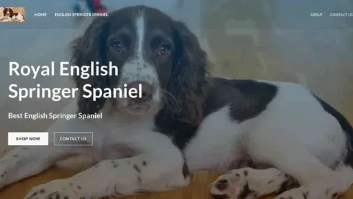 A screenshot of Genlanfamilystbernard.com