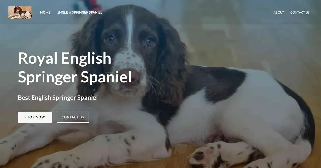 is royalenglishspringerspaniel.com legit? screenshot
