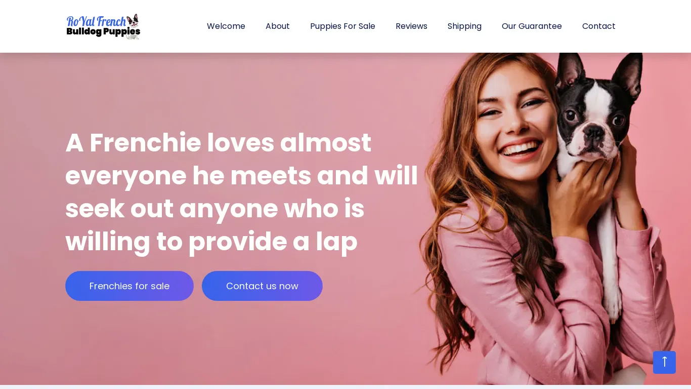is royalfrenchbulldogpuppies.com legit? screenshot