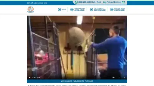A screenshot of Royalkennelsbullies.com