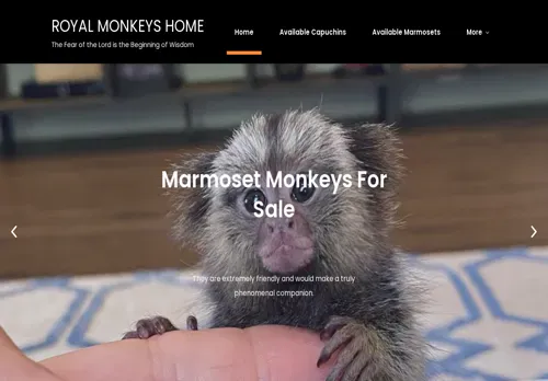 is royalmonkeyshome.com legit? screenshot