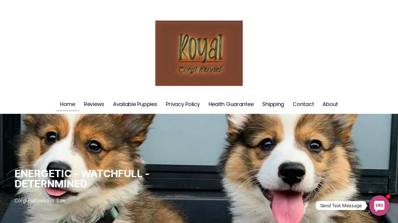 is royalpembrokecorgis.com legit? screenshot