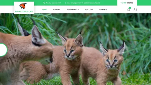 A screenshot of Royalstatuscats.com