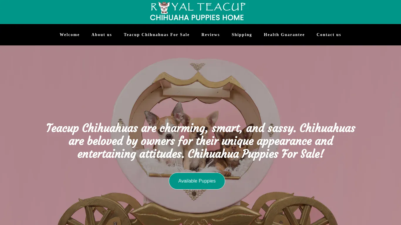 is royalteacupchihhuahuapuppieshome.com legit? screenshot