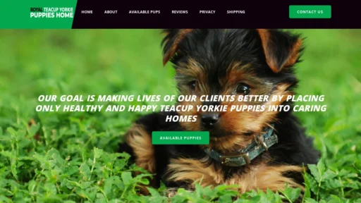 A screenshot of Royalteacupyorkiepuppieshome.com