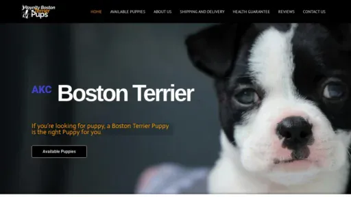 A screenshot of Royaltybostonterrierpups.com