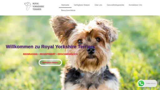 A screenshot of Royalyorkshireterrier.com