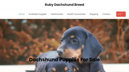 A screenshot of Rubydachshundbreed.com