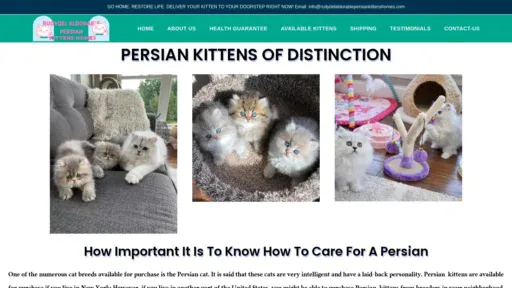 A screenshot of Rudydelaldorablepersiankittenshomes.com