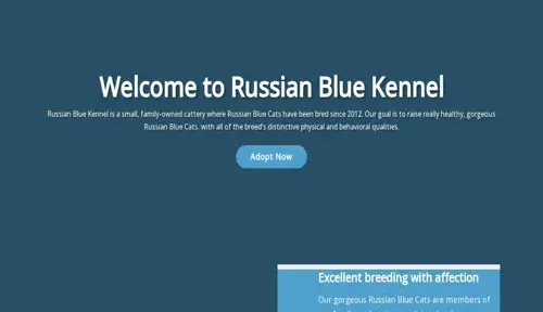 A screenshot of Genlanfamilystbernard.com