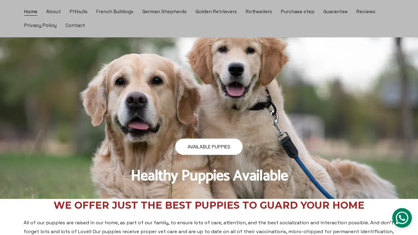 is Healthy Puppies for Sale | Guard Dogs for Sale | French Bulldogs for sale legit? screenshot