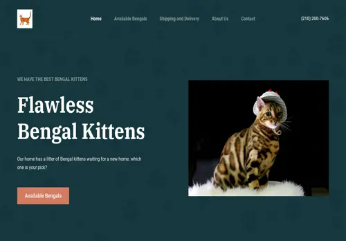 is ryanbengals.com legit? screenshot