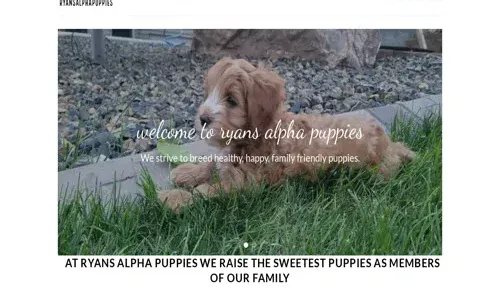 A screenshot of Genlanfamilystbernard.com