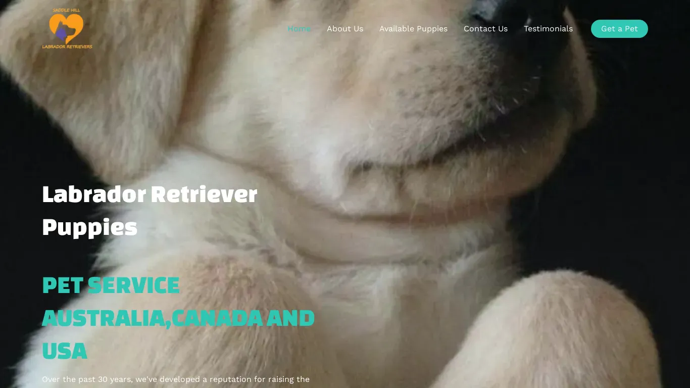 is saddlehilllabradorretrieverpuppies.com legit? screenshot