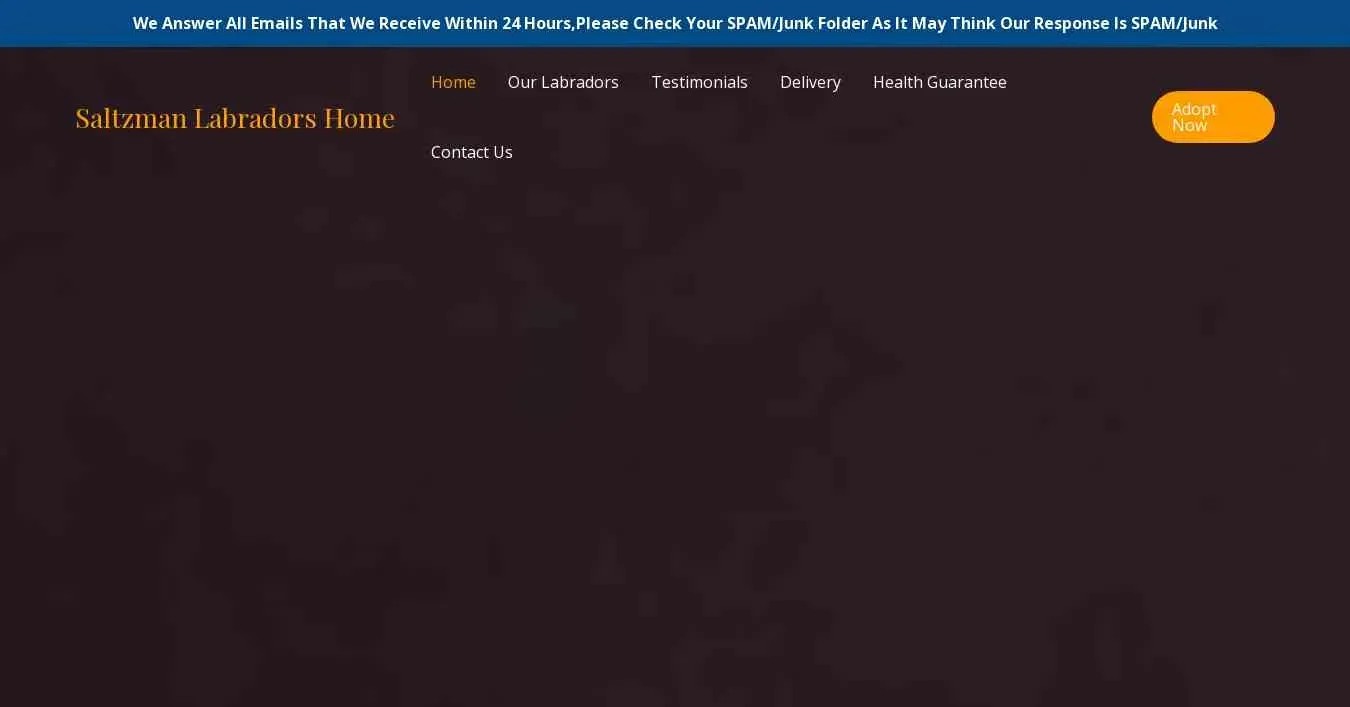 is saltzmanlabradorshome.com legit? screenshot