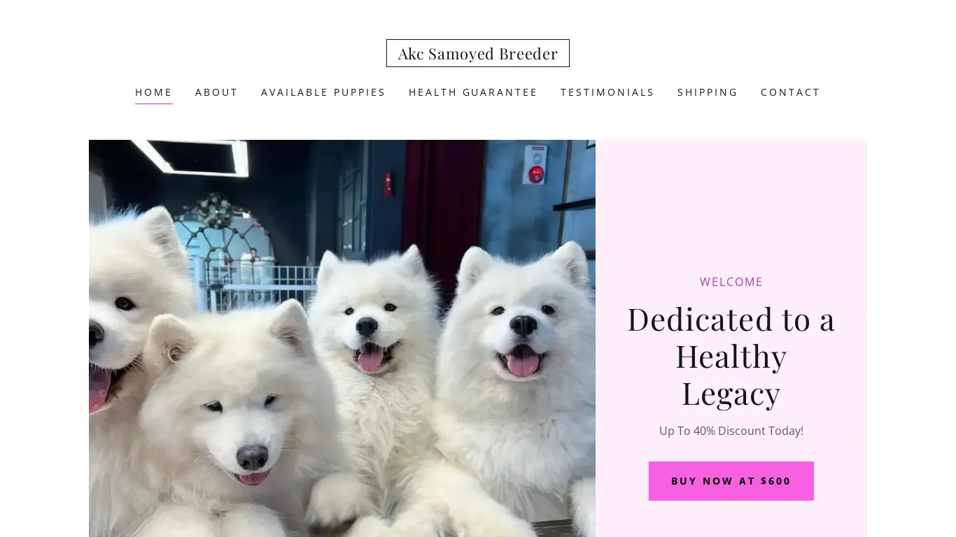 is samoyedbreederhome.com legit? screenshot