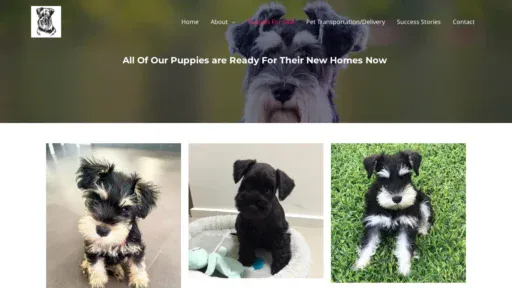 A screenshot of Sandfordbelllabradors.com
