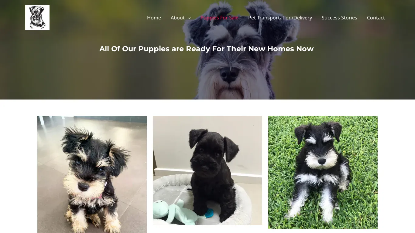 is sandfordbelllabradors.com legit? screenshot