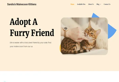 is sandramainecoonkitten.com legit? screenshot
