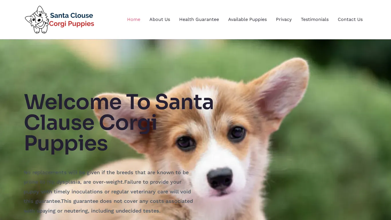 is Santa Clouse Corgi Puppies legit? screenshot