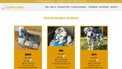 A screenshot of Santaldanes.com