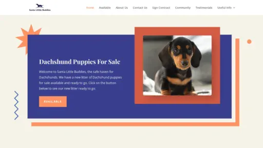 A screenshot of Santalittlebuddies.com