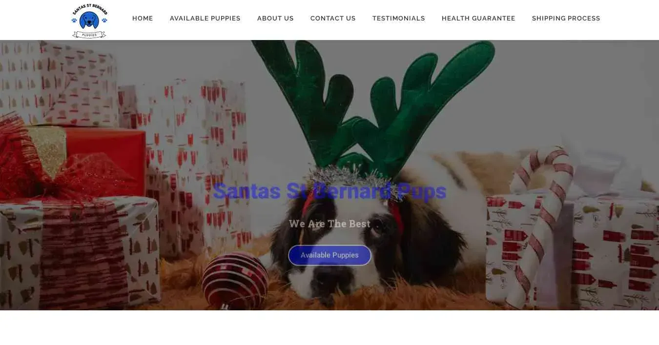 is santasstbernardpups.com legit? screenshot